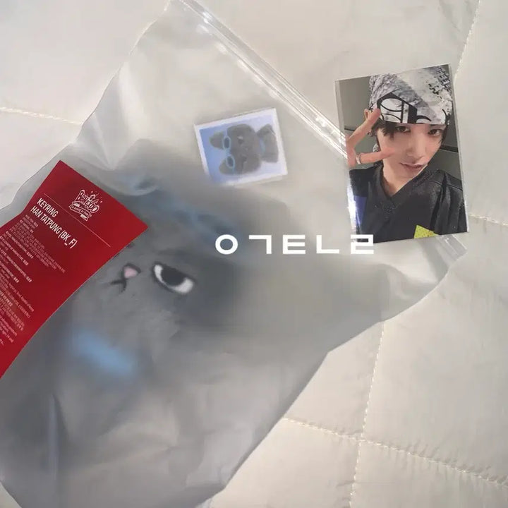 보이넥스트도어 쁘넥도 팝업 플러시 키링 인형 한탯풍+증사+포카