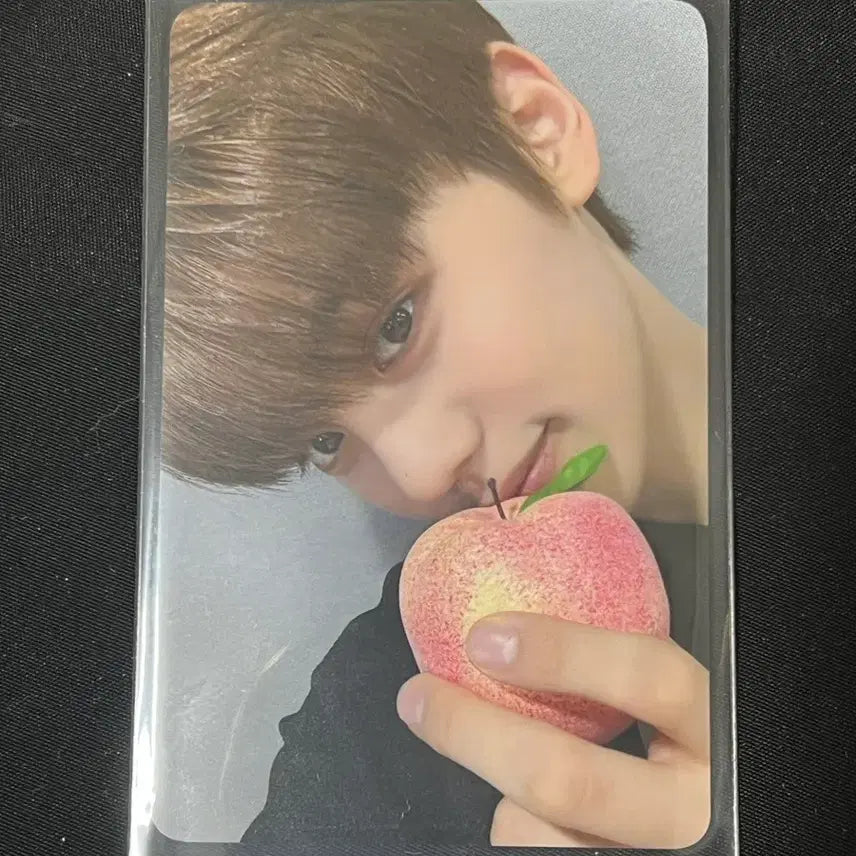 제베원 제로베이스원 에버라인 럭드 포카 미공포 김규빈