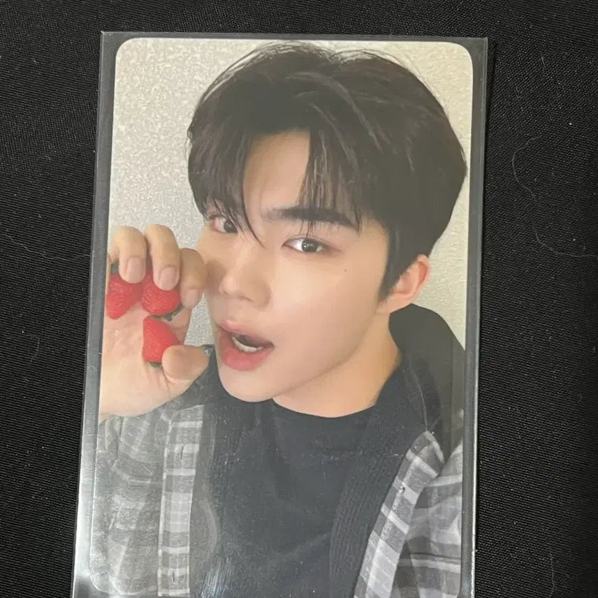 제베원 제로베이스원 에버라인 럭드 포카 미공포 박건욱