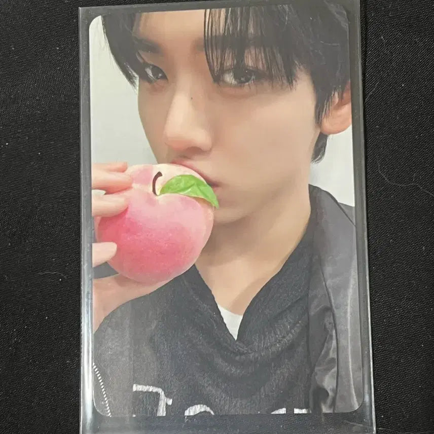 제베원 제로베이스원 에버라인 럭드 포카 미공포 한유진