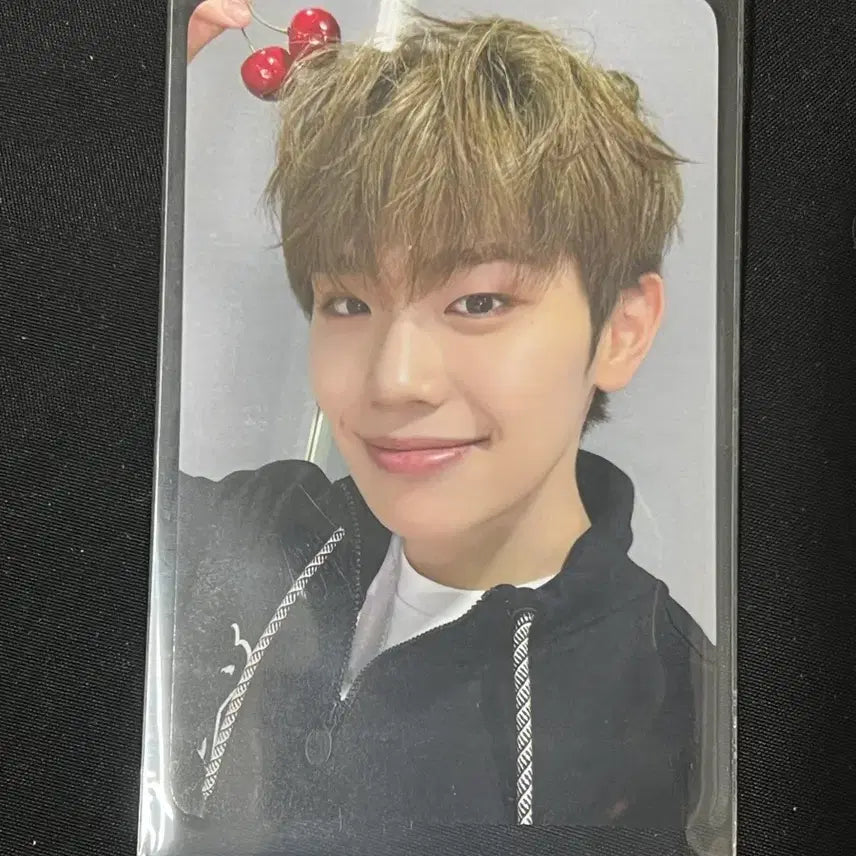 제베원 제로베이스원 에버라인 럭드 포카 미공포 김태래