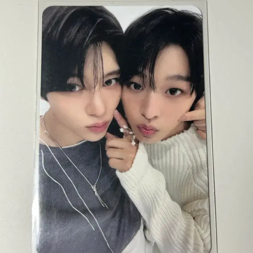 엔시티위시 유닛 트레카 온리즈 포카 양도 시온리쿠