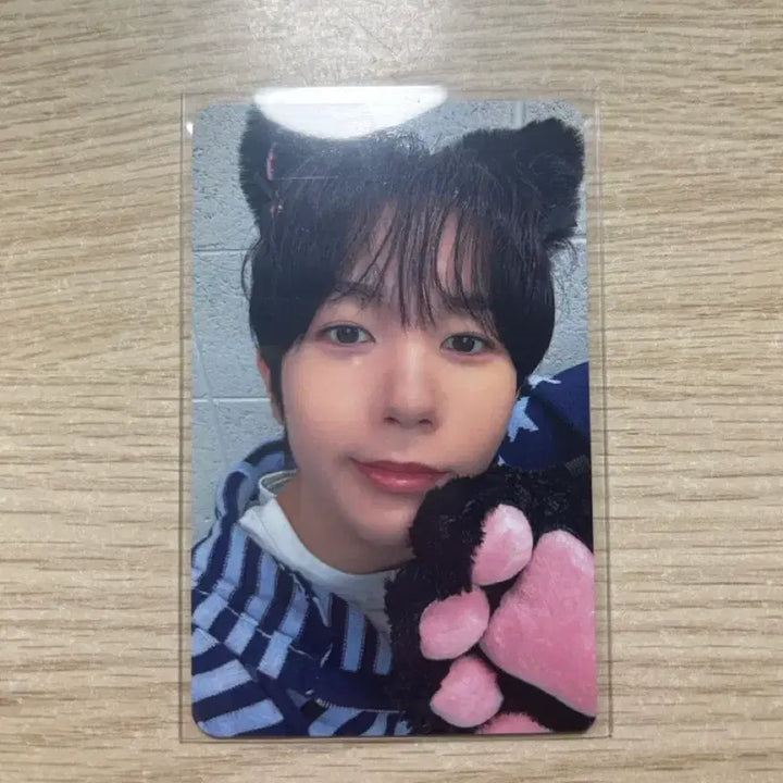 엔시티위시 료 컬러 인터아시아 럭드