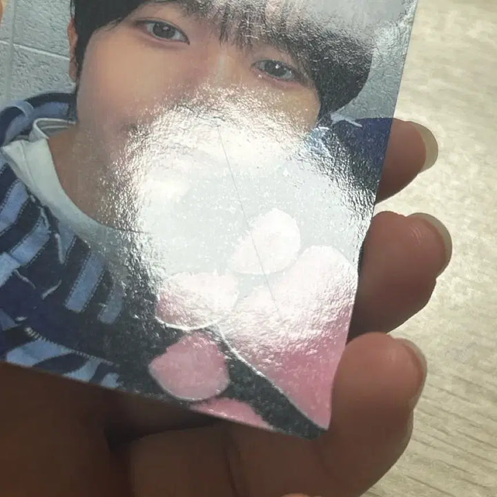 엔시티위시 료 컬러 인터아시아 럭드