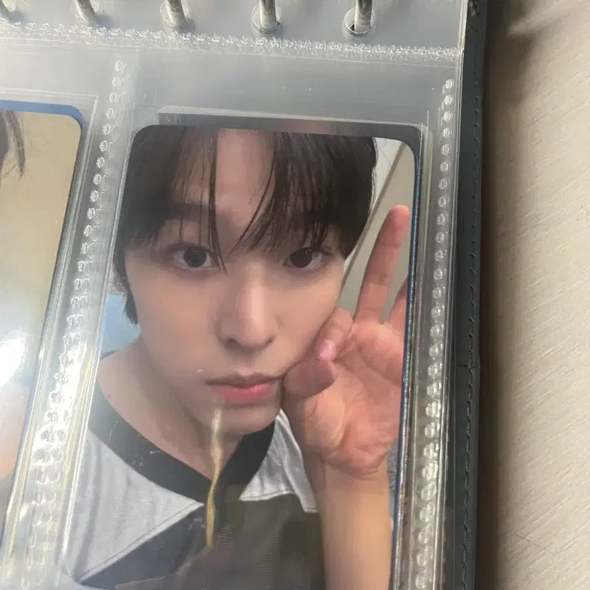 엔시티위시 리쿠 송버드 에버라인 포카