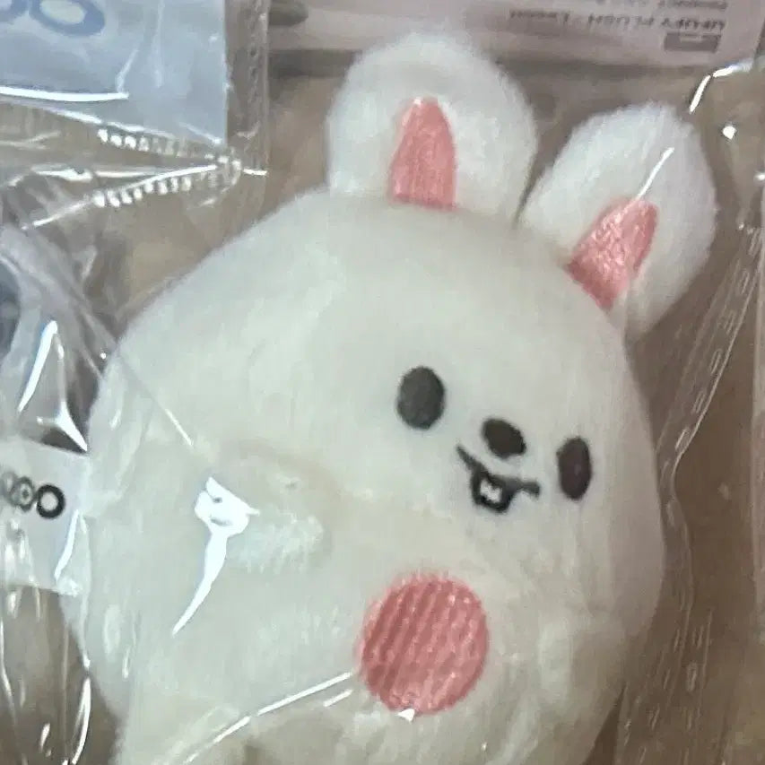 리빗 우푸피 스키즈 스키주 주토피아