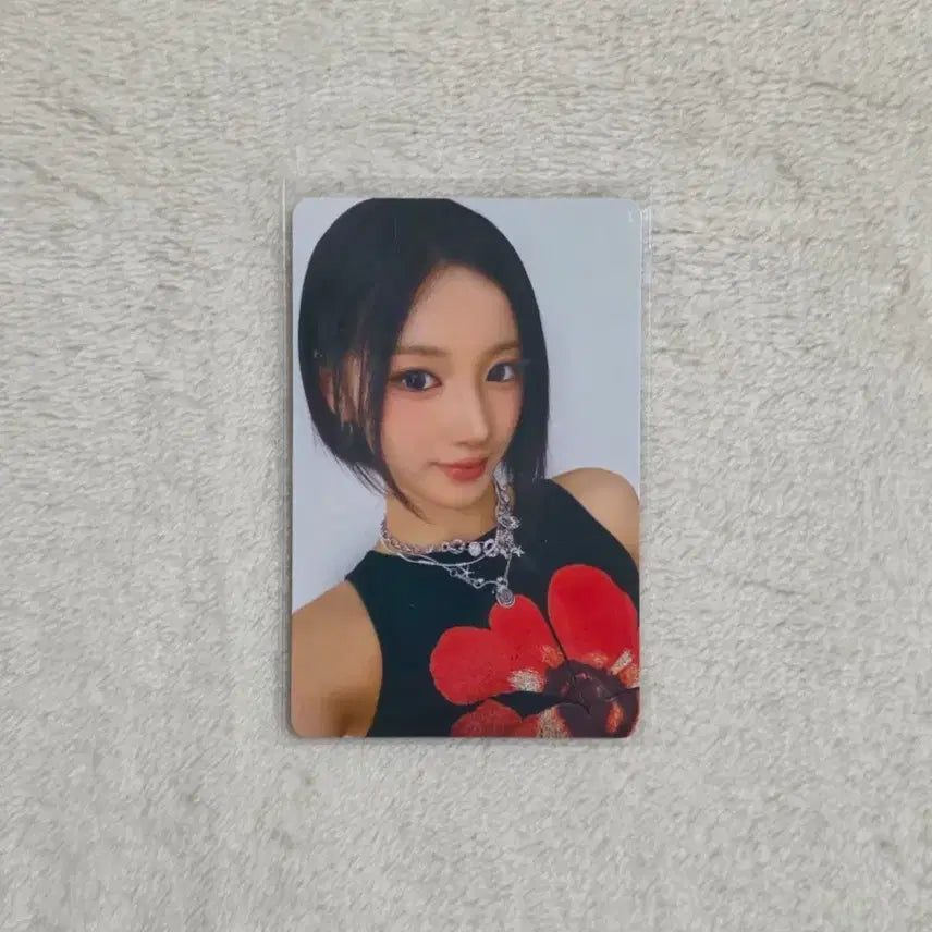 퍼플키스 유키 오버더레인보우 포카