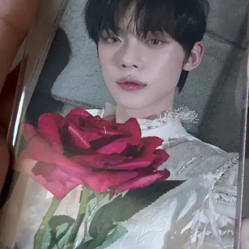 투바투 데자뷰 공방포카 양도 일괄