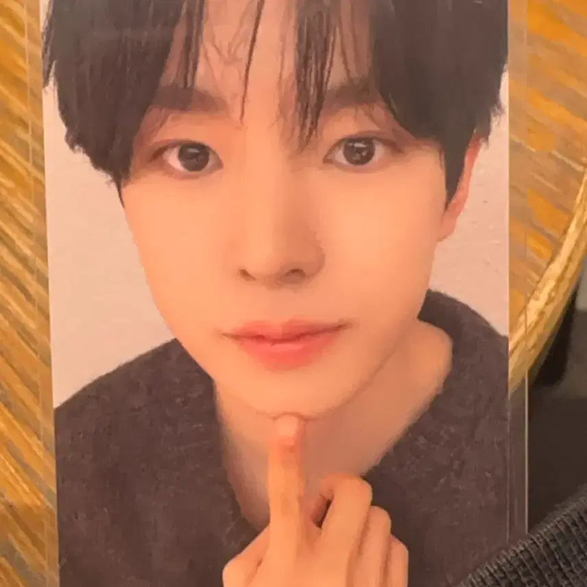 (하자 O, 가격 내림) 엔시티 위시 유우시 스테디 애플뮤직 포카