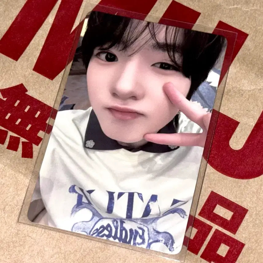 엔시티 위시 kms 사쿠야 포카