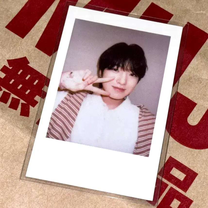 엔시티 위시 kms 사쿠야 포카