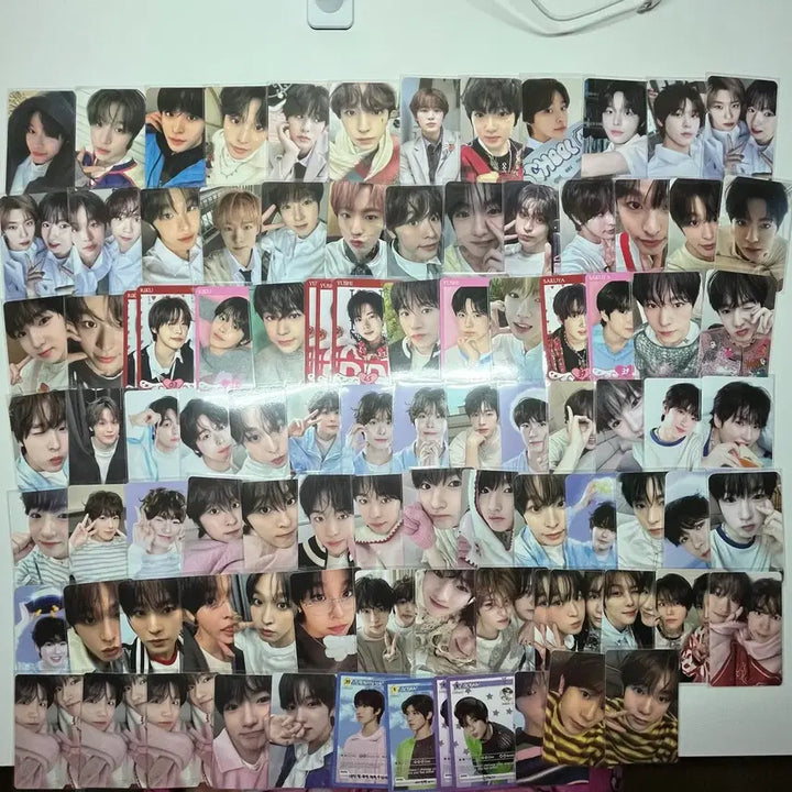 엔시티 위시 리쿠 유우시 사쿠야 포카 md 일괄