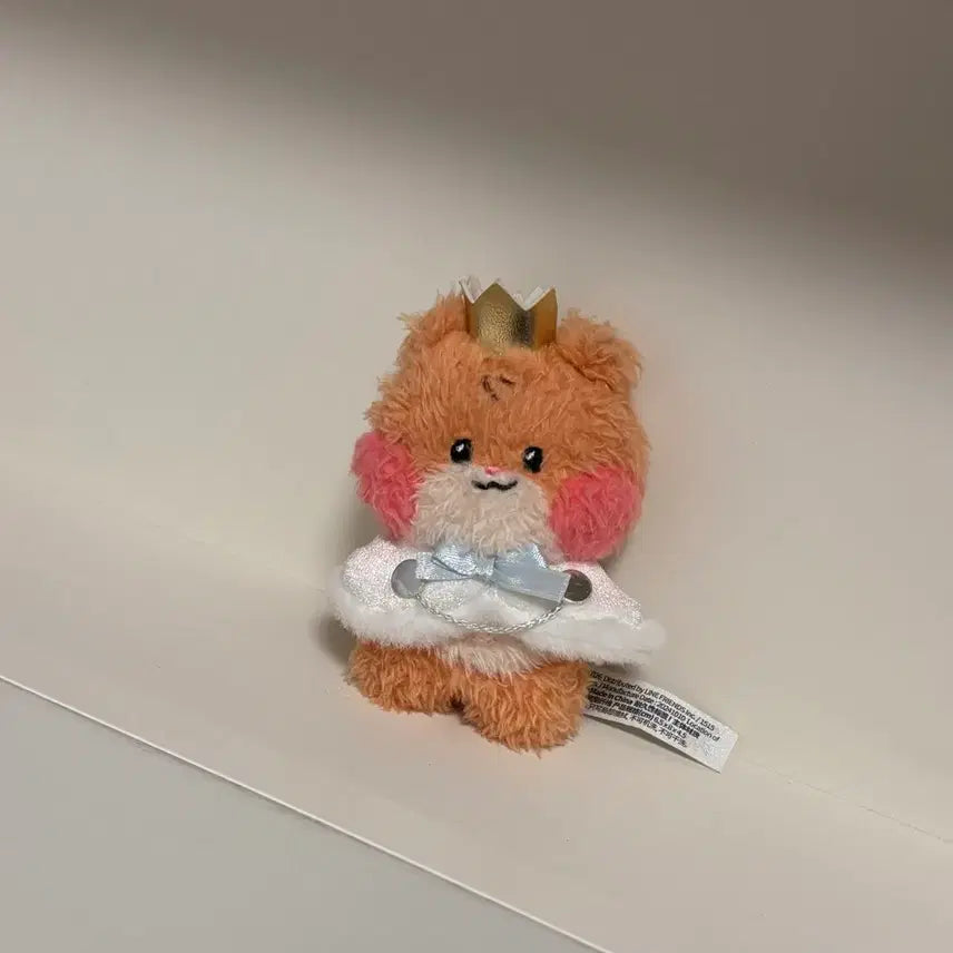 제로베이스원 제베원 프린스 비니니 팝니다!