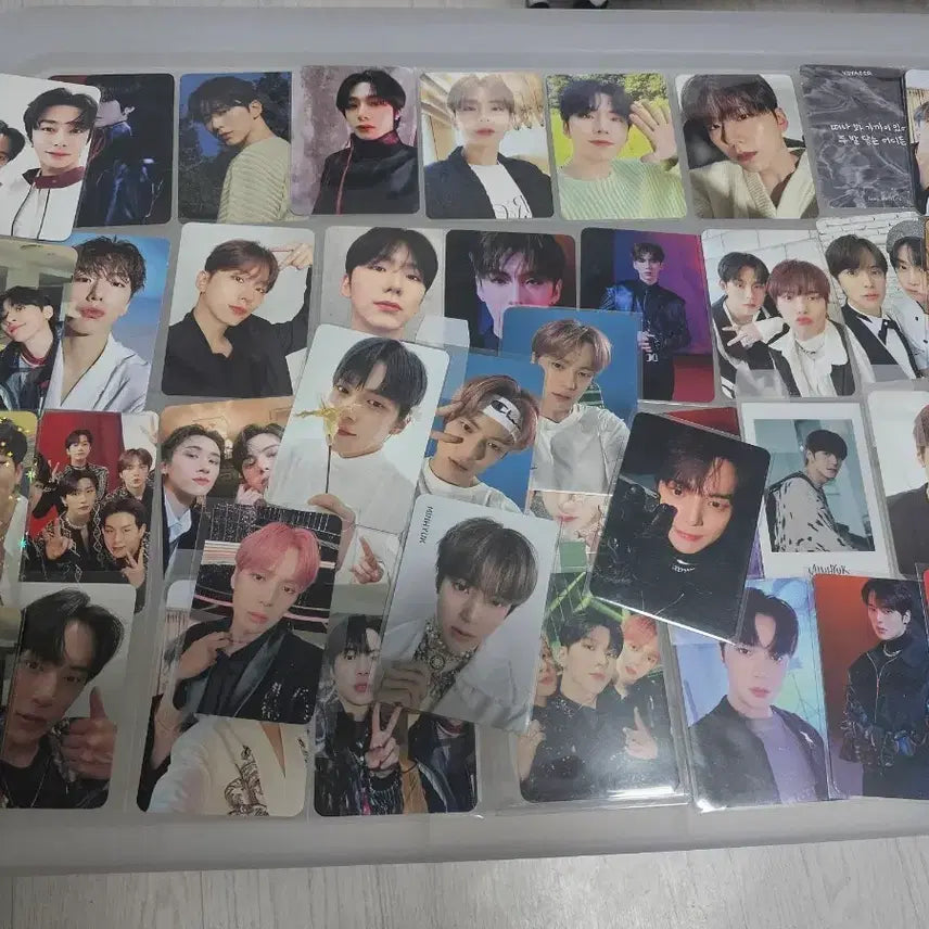 몬스타엑스 포토카드 일괄