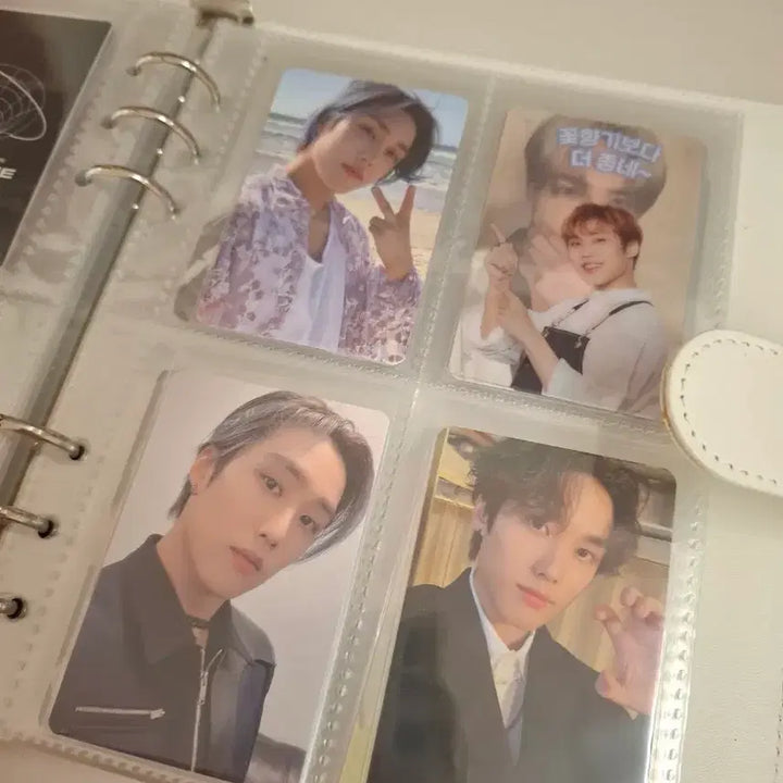 더보이즈 제이콥 포카 32장 일괄