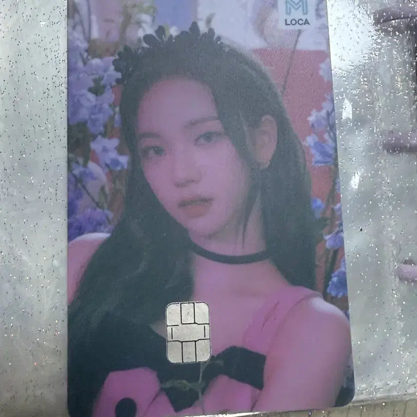 카리나 라투숏 교통카드 (배송비 별도) 에스파