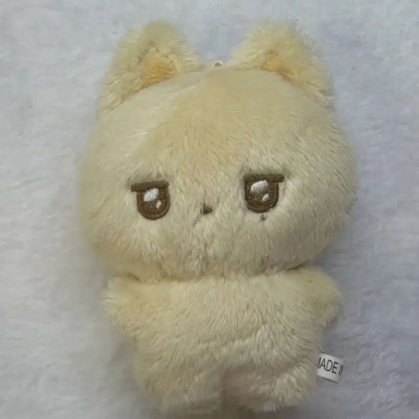 엔시티위시 유우시 위니멀즈 우시짱