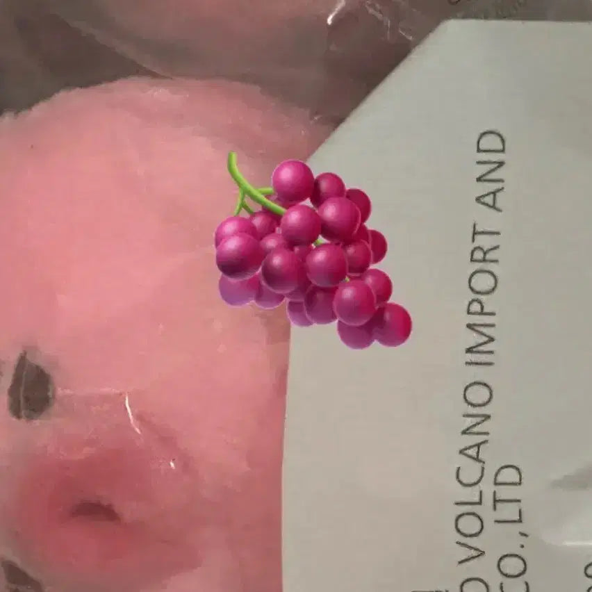 더보이즈 선우 인형 떤코 미개봉 양도