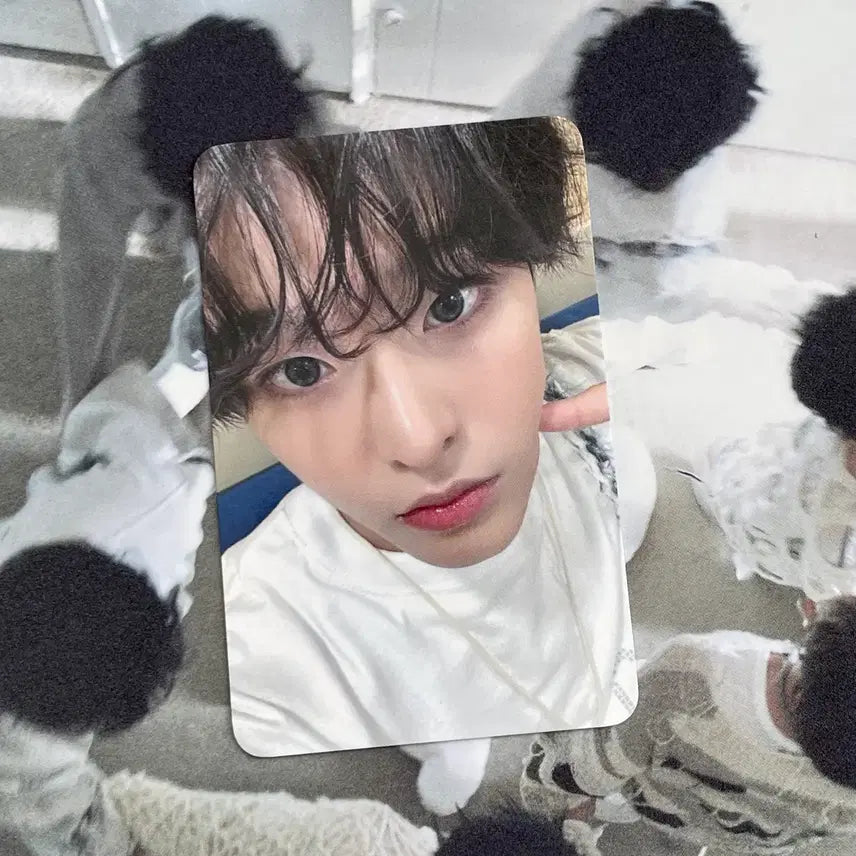 엔시티 위시 리쿠 포카 스테디 미공포