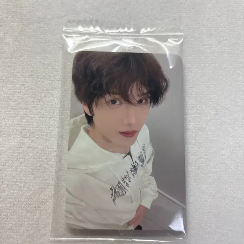 (오늘만 수수료x)엔시티 드림 BTTF 케타포 영통 포카 미개봉 지성