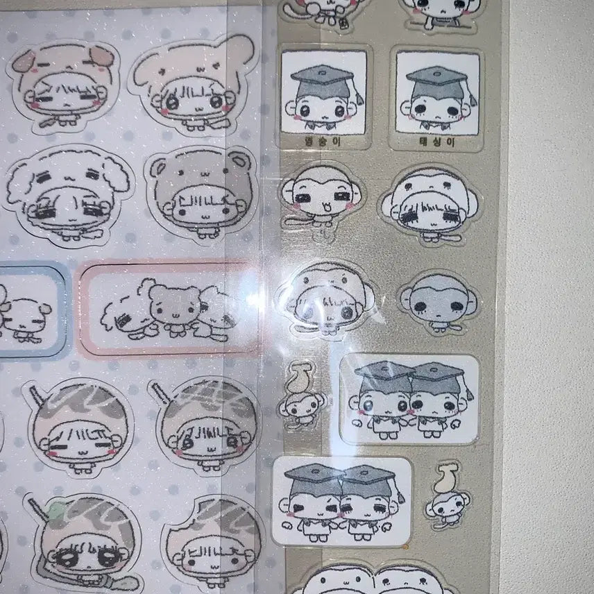 보넥도 통판 비공식 스티커 미개봉 3장 일괄