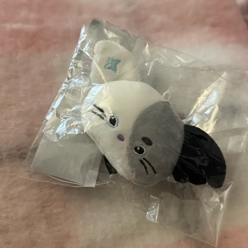 엑스디너리 히어로즈 엑디즈 엑몬 냥듀 페이스키링 양도