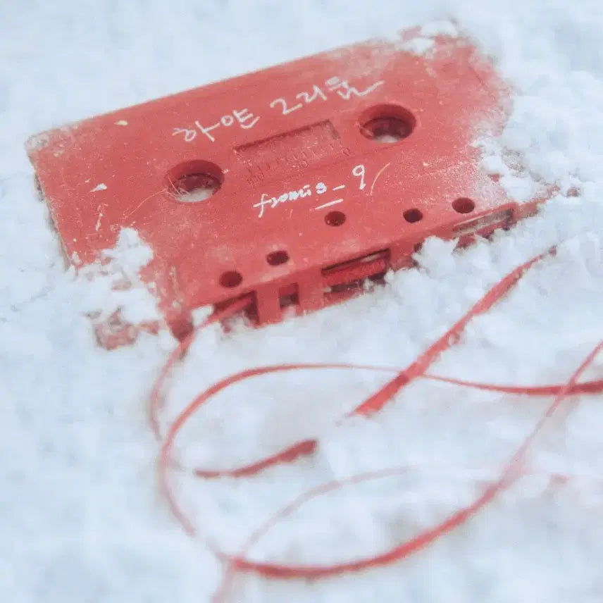 프로미스나인 키트 결제창 3