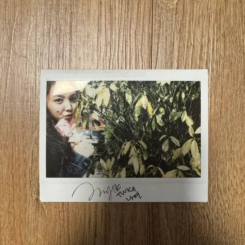 트와이스 나연 모모 싸인 폴라로이드