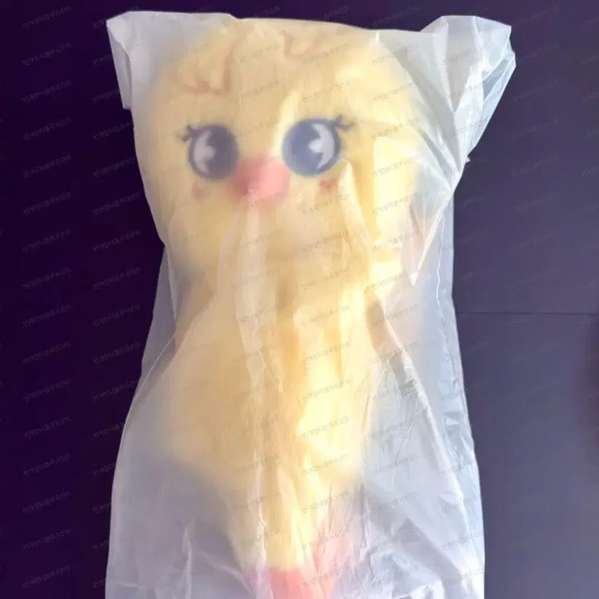 미개봉) SKZ 스트레이키즈 필릭스 스키주 뽁아리 플러시백 스키주 가방