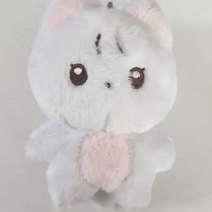 (안전결제) 차니냥 더보이즈 뉴 찬희 최찬희 10cm 인형