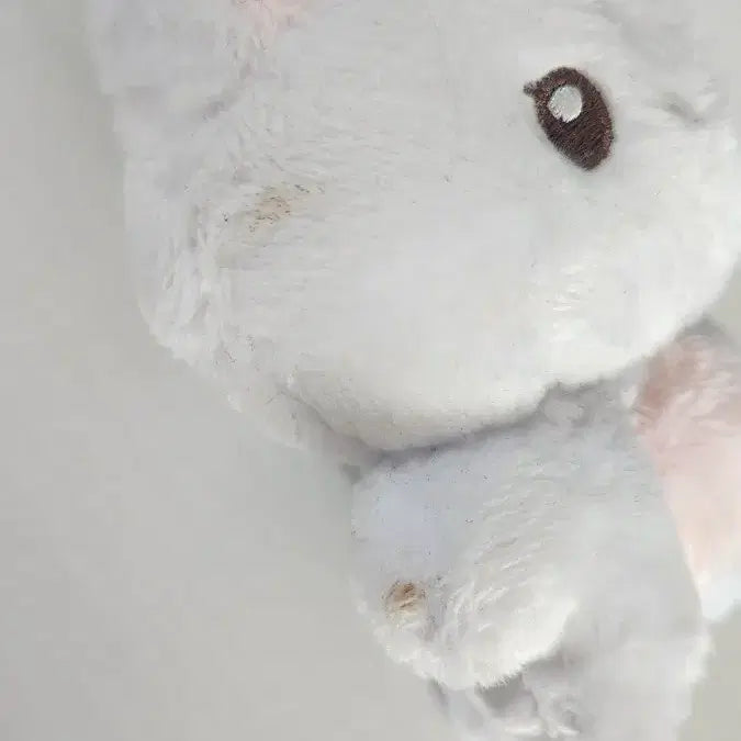 (안전결제) 차니냥 더보이즈 뉴 찬희 최찬희 10cm 인형