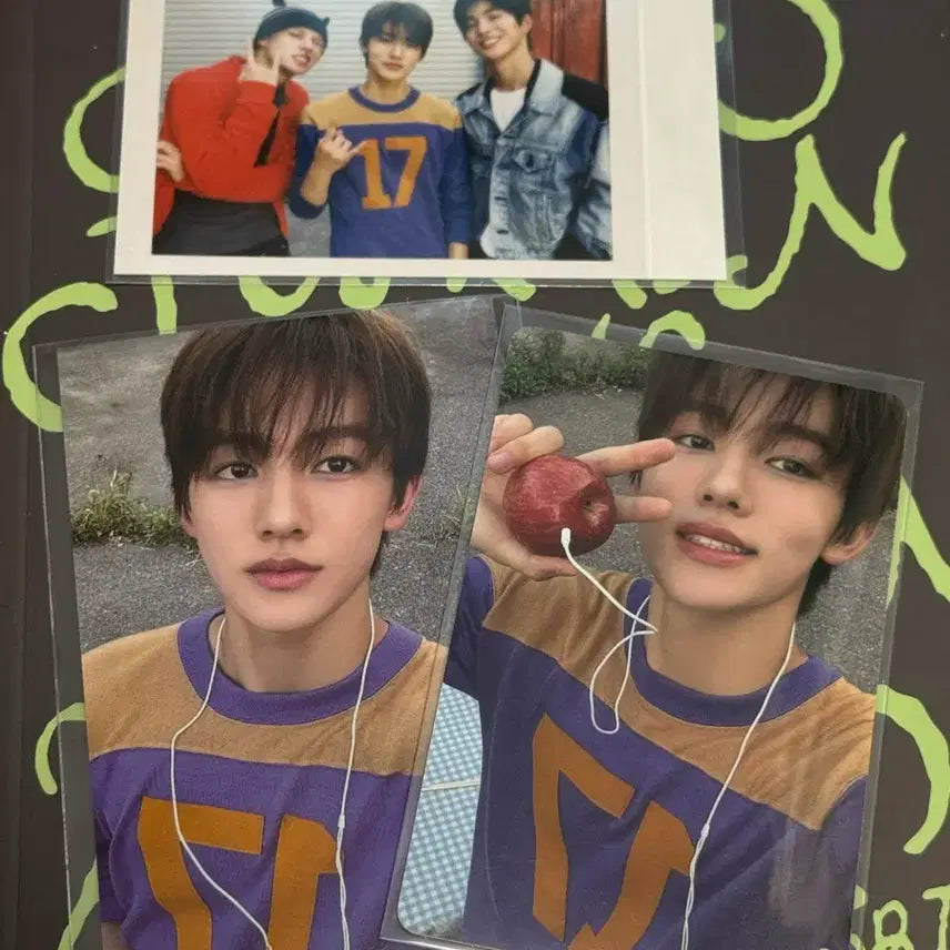 코르티스 시그 성현 포카 양도해요