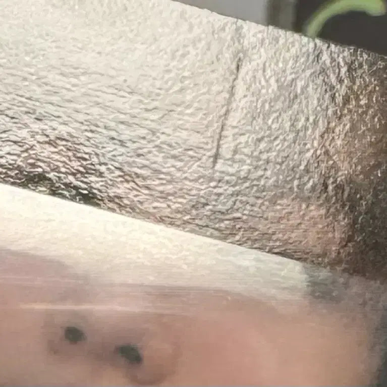 코르티스 시그 성현 포카 양도해요