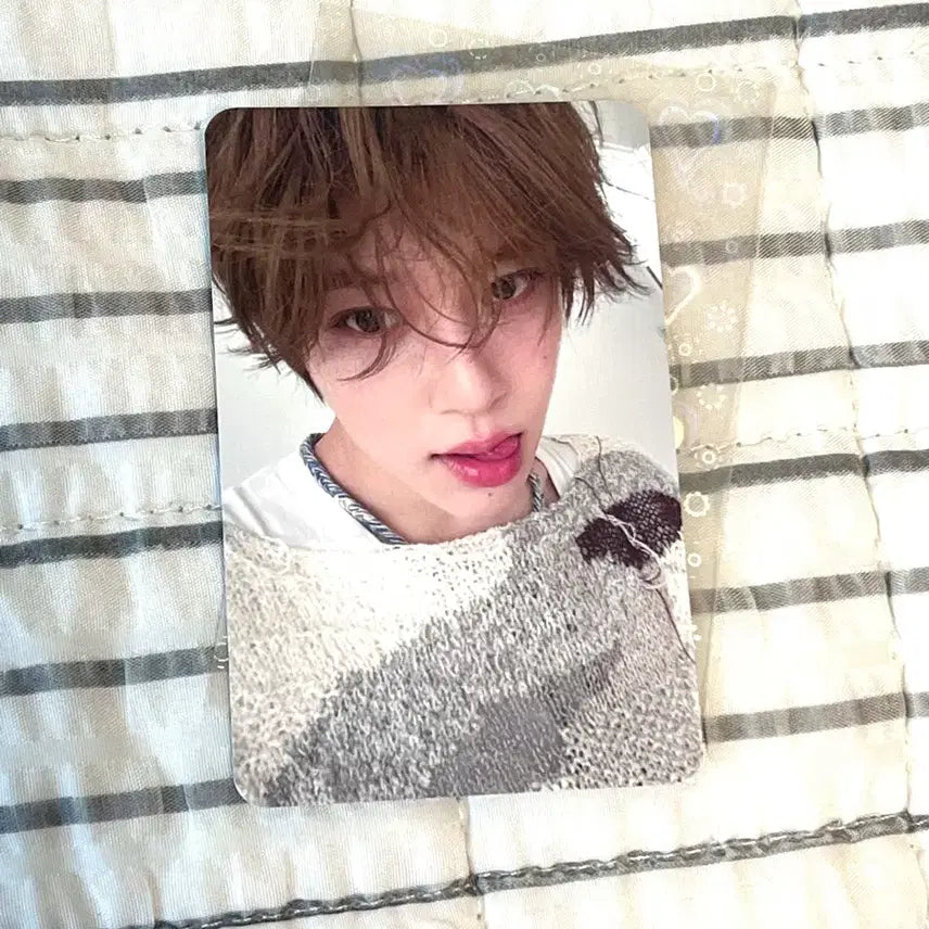 엔시티위시 스테디 위드뮤 시온 포카 양도