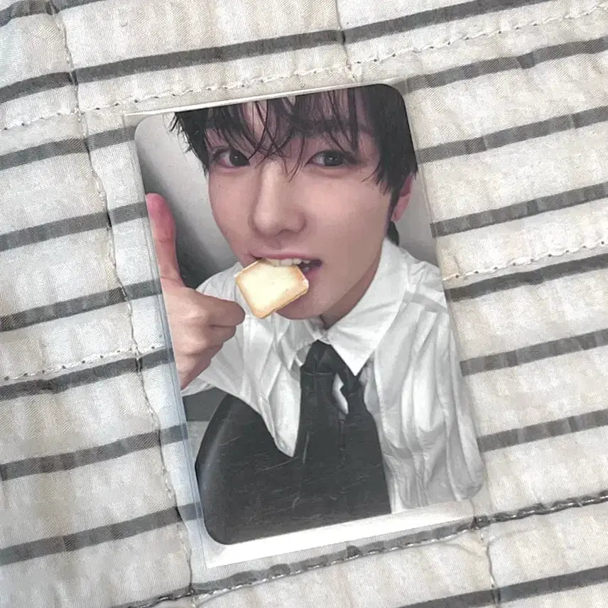 엔시티위시 위시풀윈터 통상반 사쿠야 포카 양도