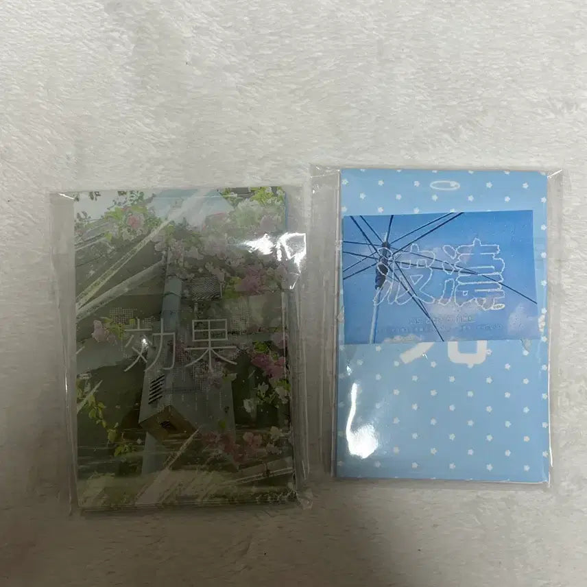 파도님 바인더 대지