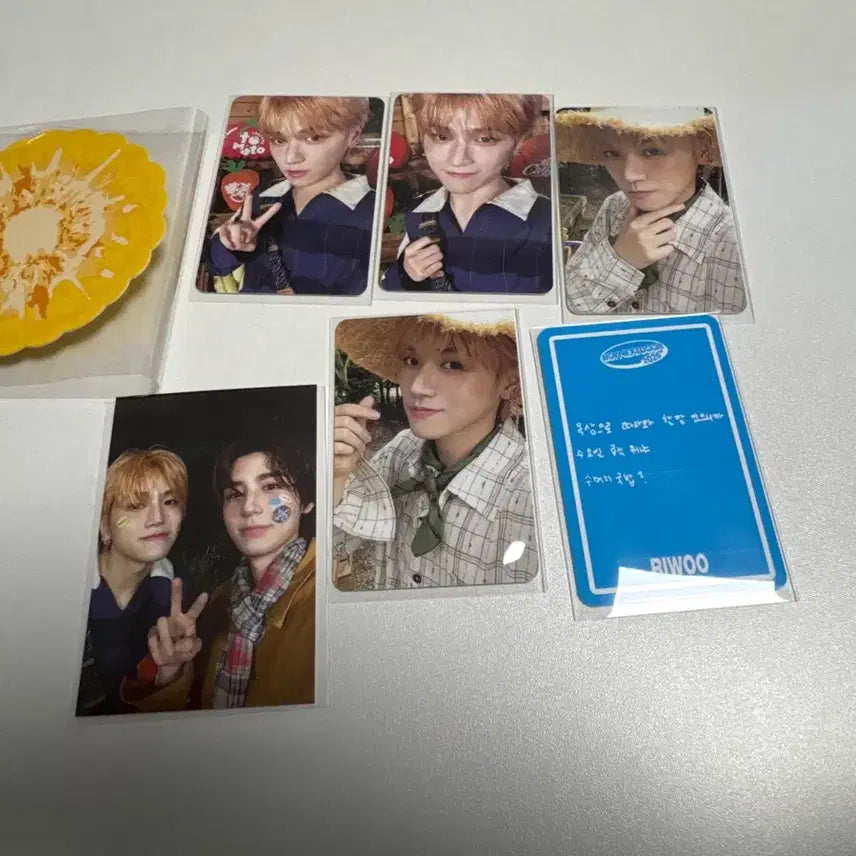 보넥도 리우 시그 분철 위버스특전유닛포카 포함