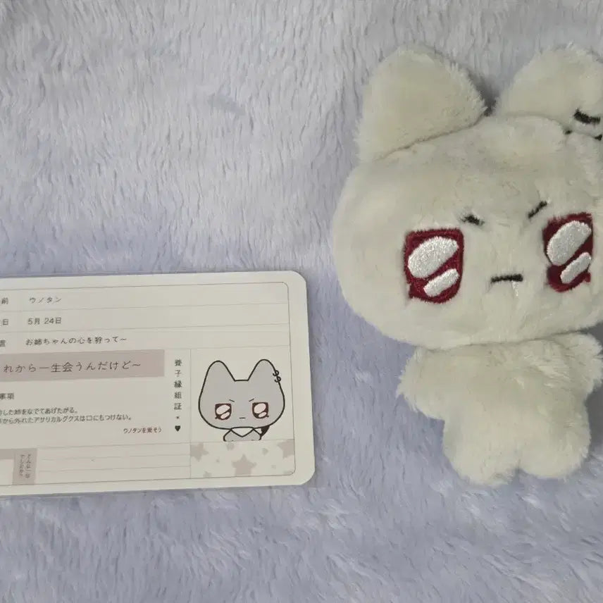 플레이브 인형 은호 플부땅 으노