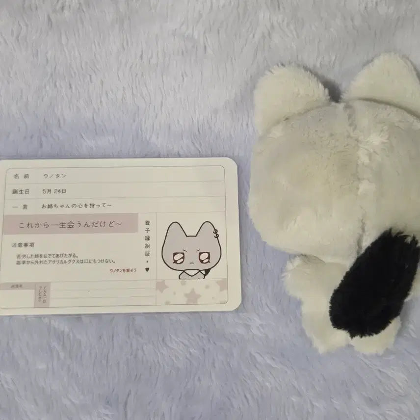 플레이브 인형 은호 플부땅 으노