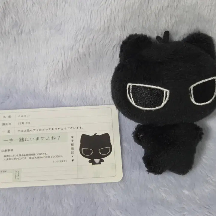 플레이브 인형 하민 플부땅