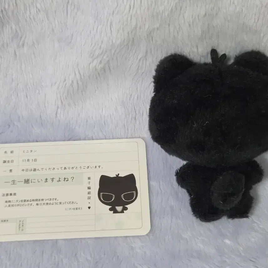 플레이브 인형 하민 플부땅