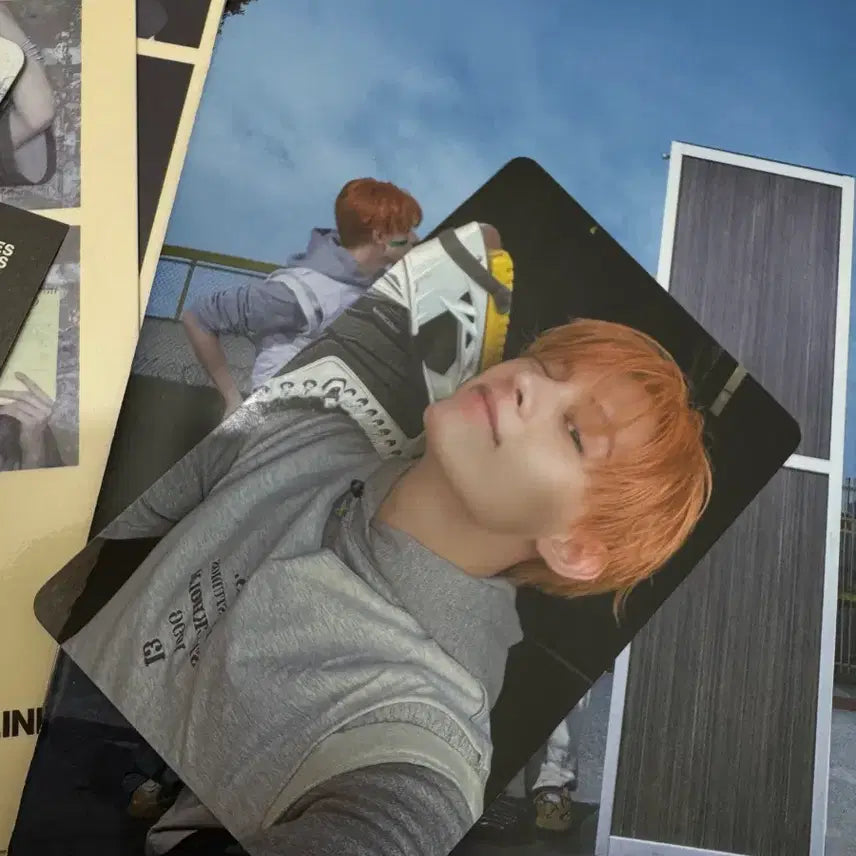 코르티스 제임스 포카