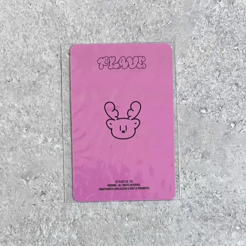 플레이브 바인더 포카 밤비 미개봉 삼왜 md