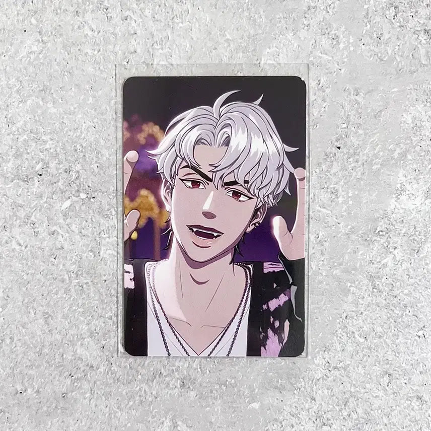 플레이브 바인더 포카 은호 삼왜 md