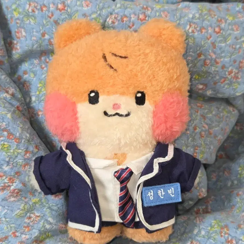 성한빈 비니니 코스튬 플러시 + 교복