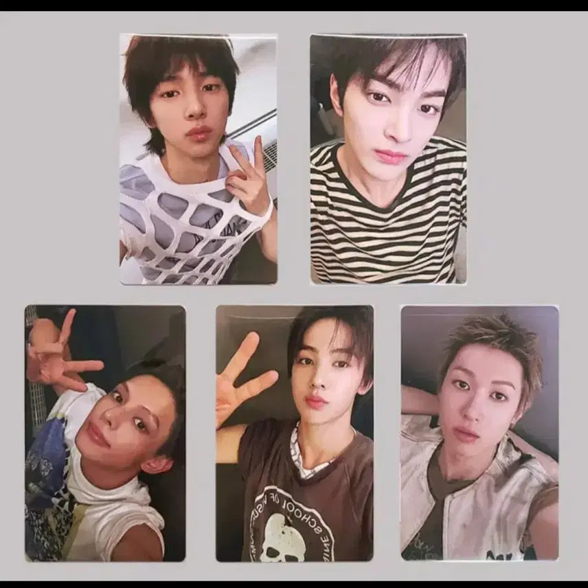 코르티스 위버스특전 포카세트