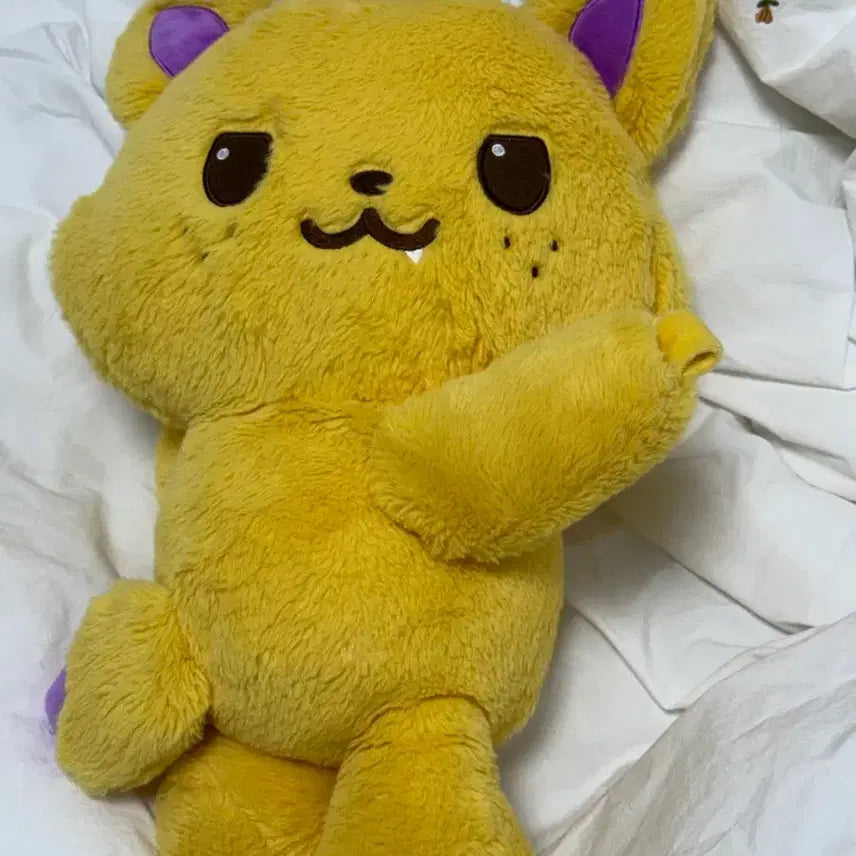 엔시티 위시 시온 시오닝 가방 양도판매  단순개봉 후 전시