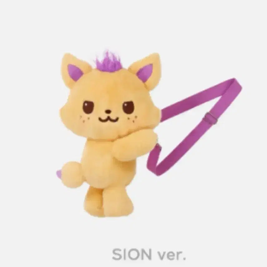 엔시티 위시 시온 시오닝 가방 양도판매  단순개봉 후 전시