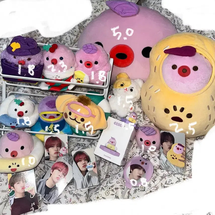 다콩이 인형 크래비티 원진 크크루 쿠션 썸머 윈터 함토리 터리 포카