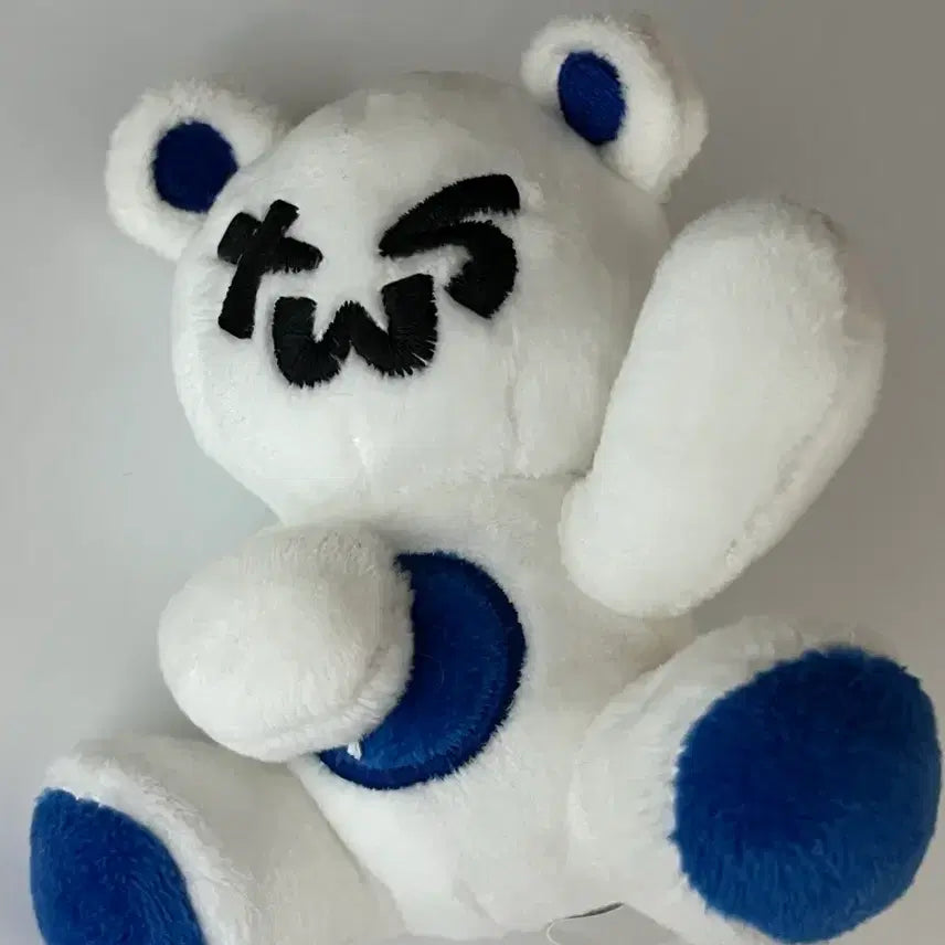 TWS 투곰이 팝니다